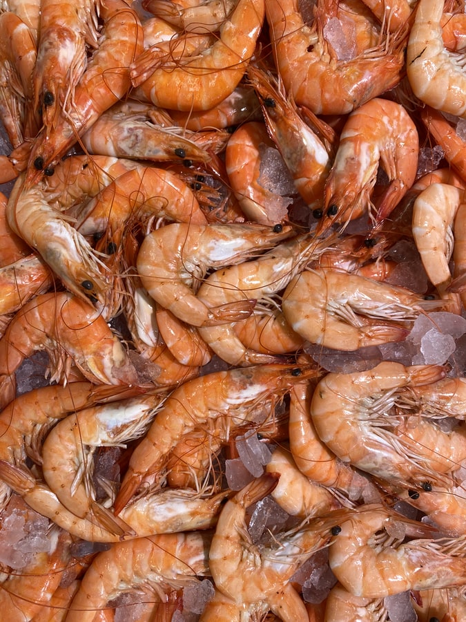 50+ Imported shrimp abc news ideas in 2021 